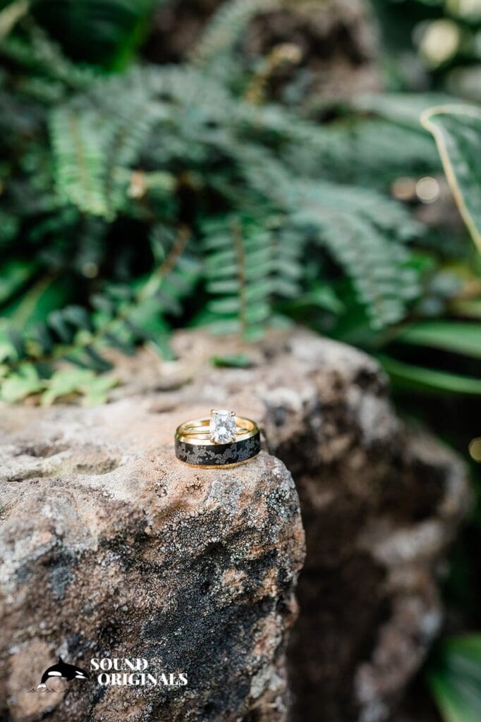 Victoria + Benjamin WW Seymour Conservatory Engagement // Victoria + Benjamin -