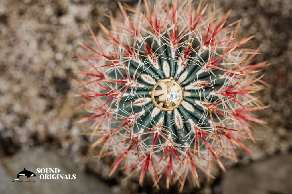 Victoria + Benjamin WW Seymour Conservatory Engagement // Victoria + Benjamin -
