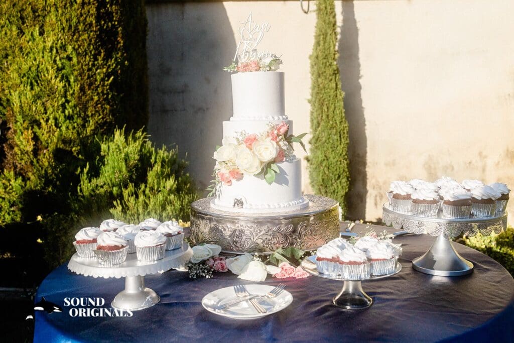 Chateau Noland Wedding // Ana + Rhyan -