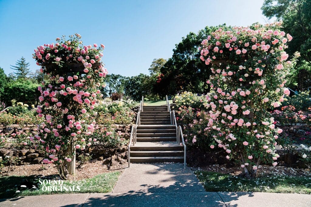 The Gardens at Heather Farm Wedding // Megan + Mitch -
