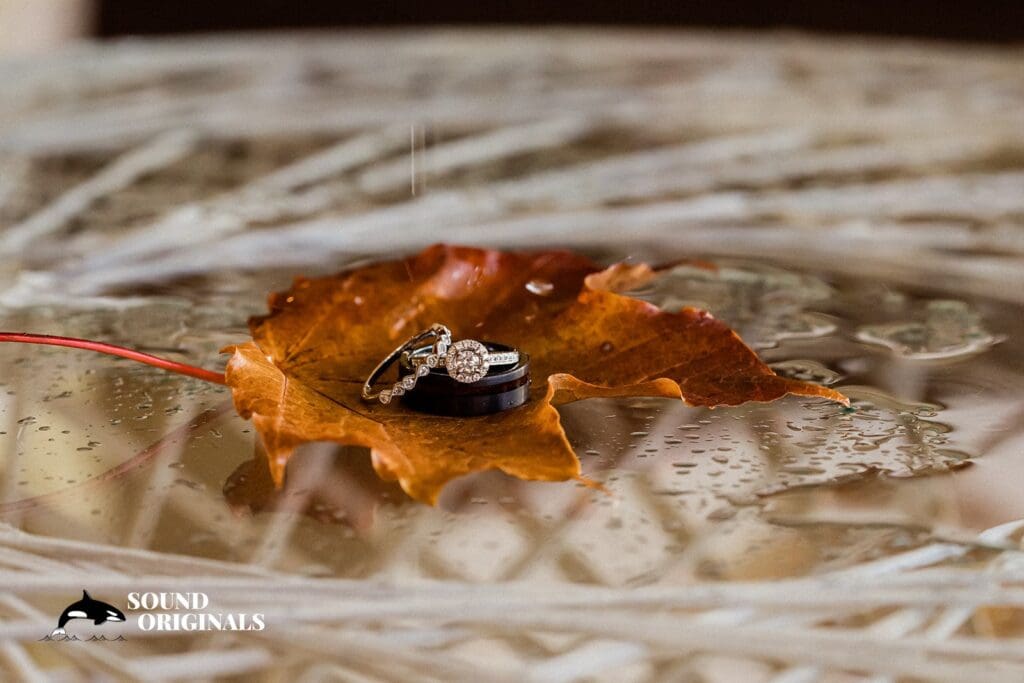 Maplehurst Farm Wedding // Elijah & Sarah -