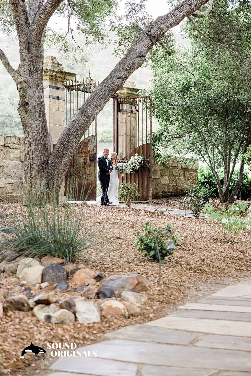 Amy & Will -