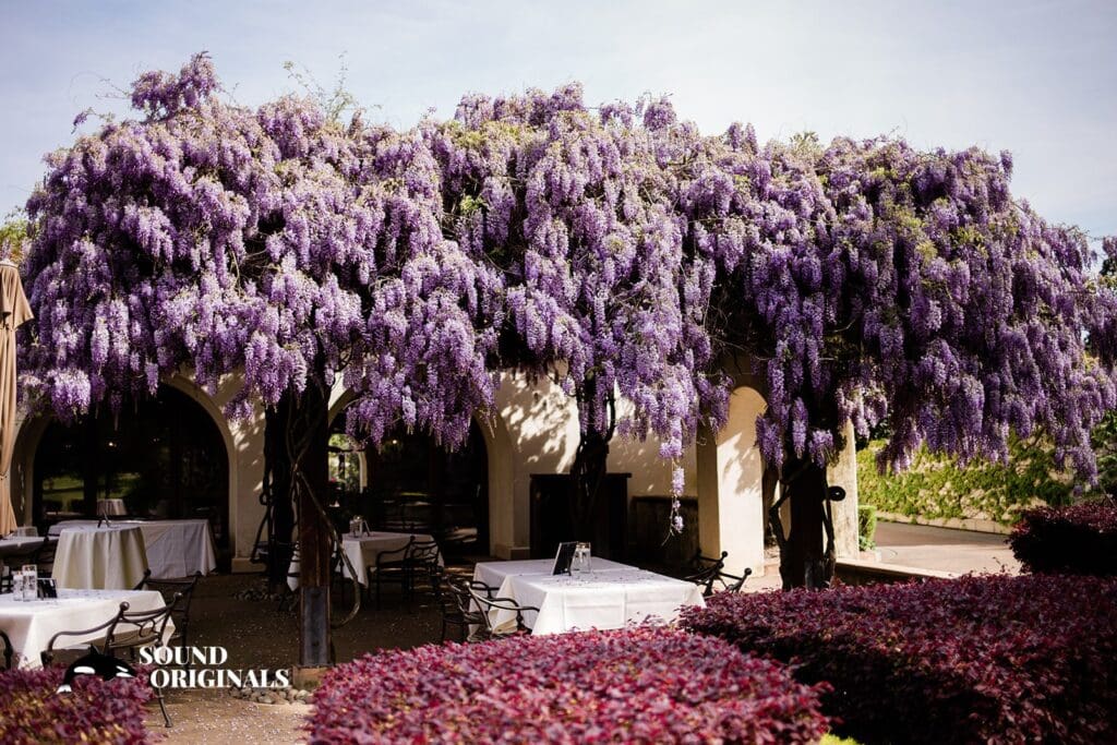 Catta Verdera Country Club Wedding // Chelsea + Connor -