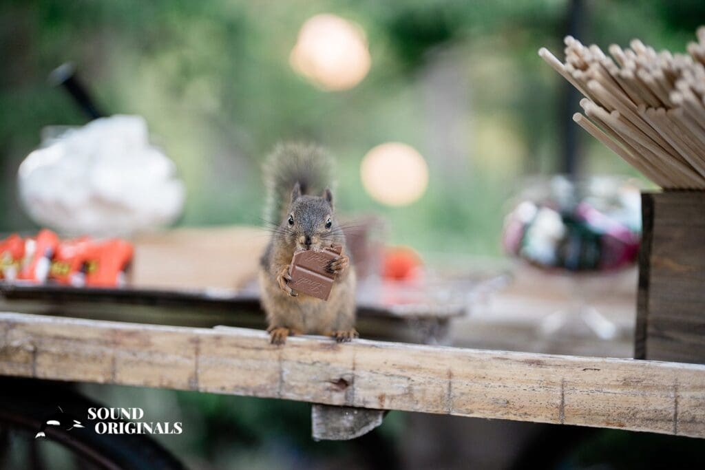 Gray Bridge Venue Wedding // Bailey + Zach -