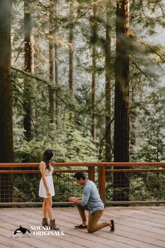 Hoyt Arboretum Engagement // Romi + Jose -