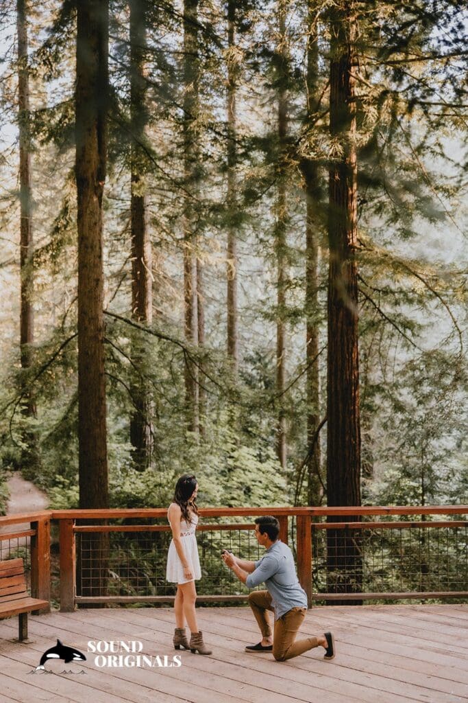Hoyt Arboretum Engagement // Romi + Jose -