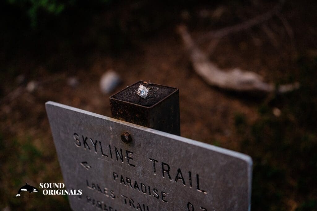 Mount Rainier National Park Engagement // Alex & Katie -