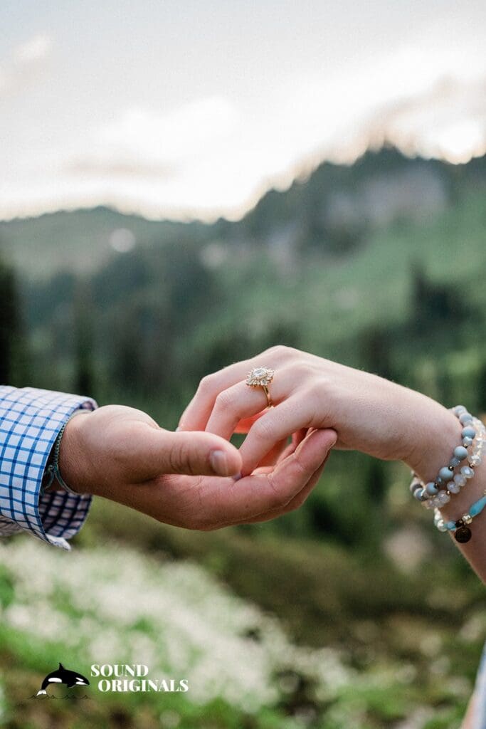 Mount Rainier National Park Engagement // Alex & Katie -