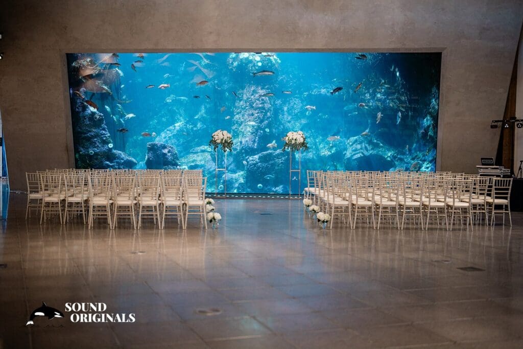 Seattle Aquarium Wedding // Jesse + Courtney -