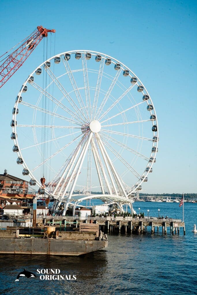 Seattle Aquarium Wedding // Jesse + Courtney -