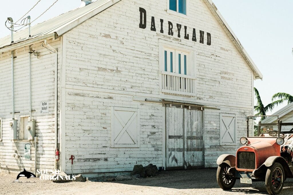Dairyland Wedding // Ashley + Josh -
