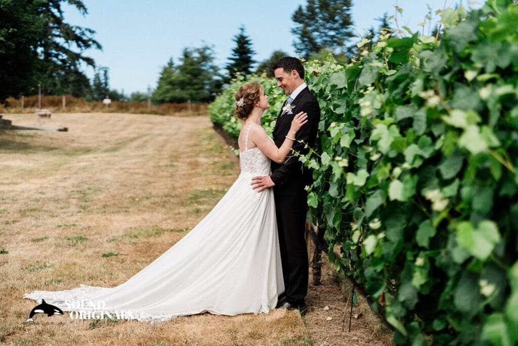 Dancing Fish Vineyards Wedding // Jennifer + Colin -