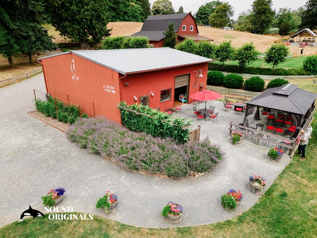 Dancing Fish Vineyards Wedding // Jennifer + Colin -