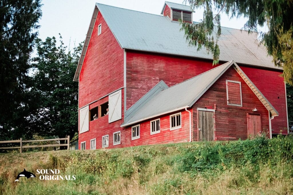 Machias Meadows Wedding // Lea + Drew -