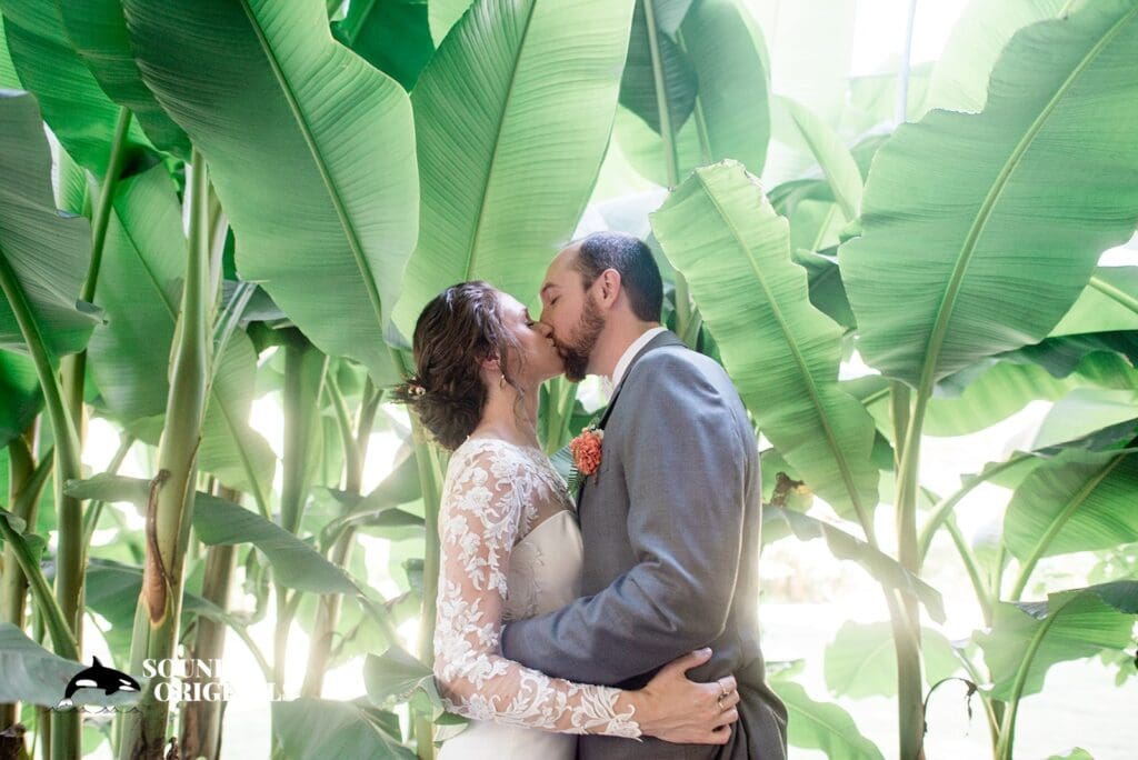 Maroni Meadows Wedding // Liz & Nathan -