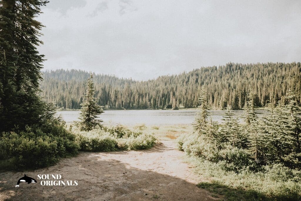 Mount Rainier National Park Wedding // Kristyn + Shawn -