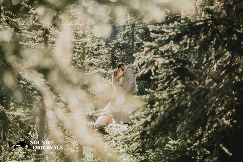 Mount Rainier National Park Wedding // Kristyn + Shawn -