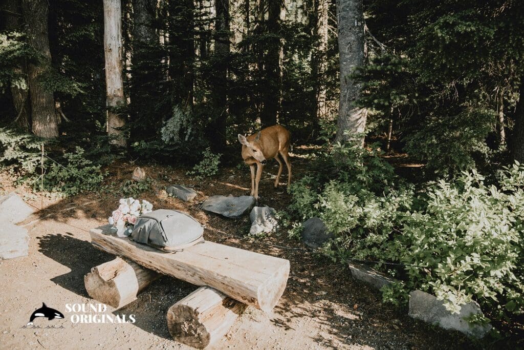 Mount Rainier National Park Wedding // Kristyn + Shawn -