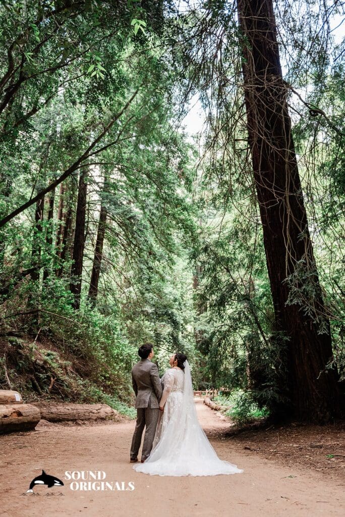 Reinhardt Redwood Regional Park Wedding // Daniel + Rosa -