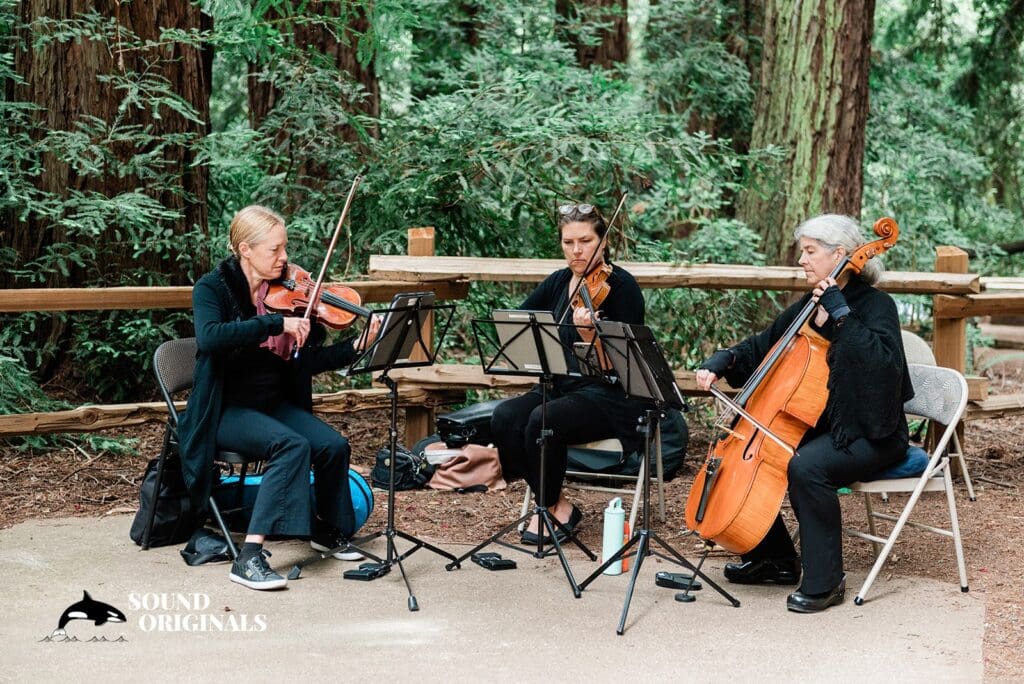 Reinhardt Redwood Regional Park Wedding // Daniel + Rosa -