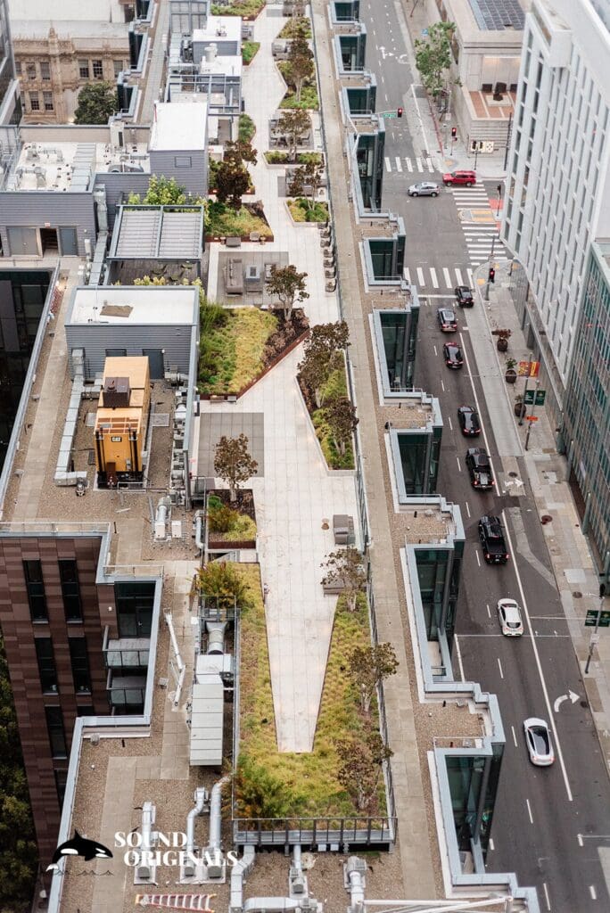 San Francisco City Hall Wedding // Nupur + Aniket -