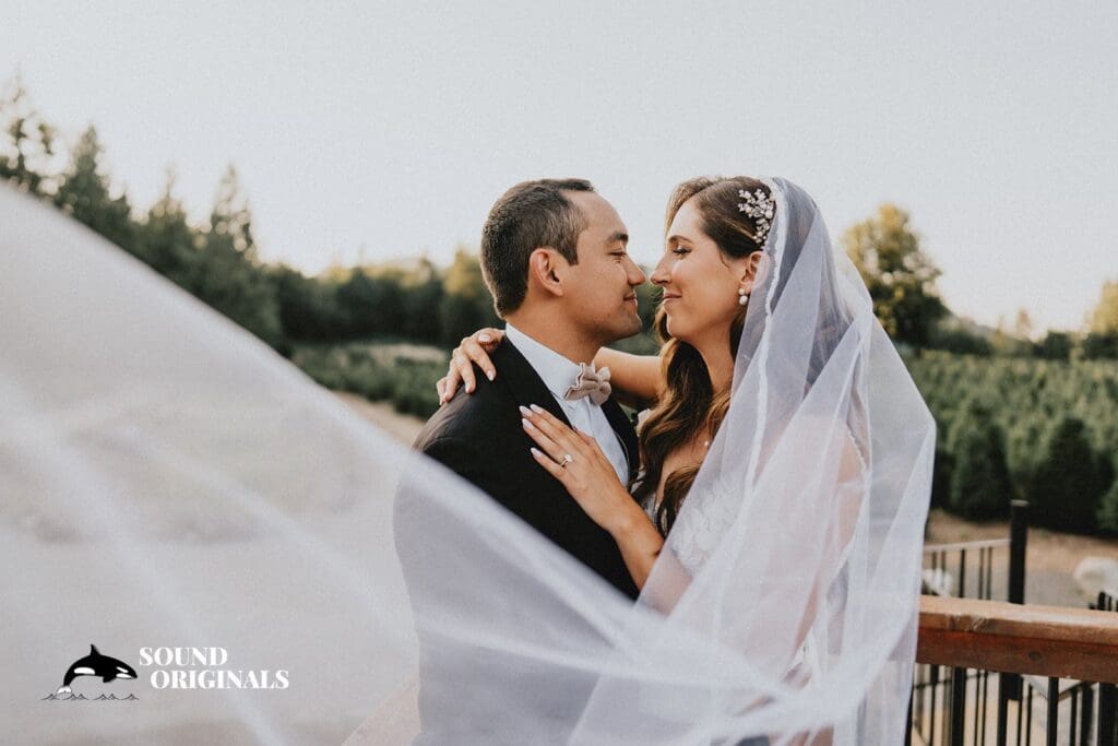 Trinity Tree Farm Wedding // Katy & Aaron -