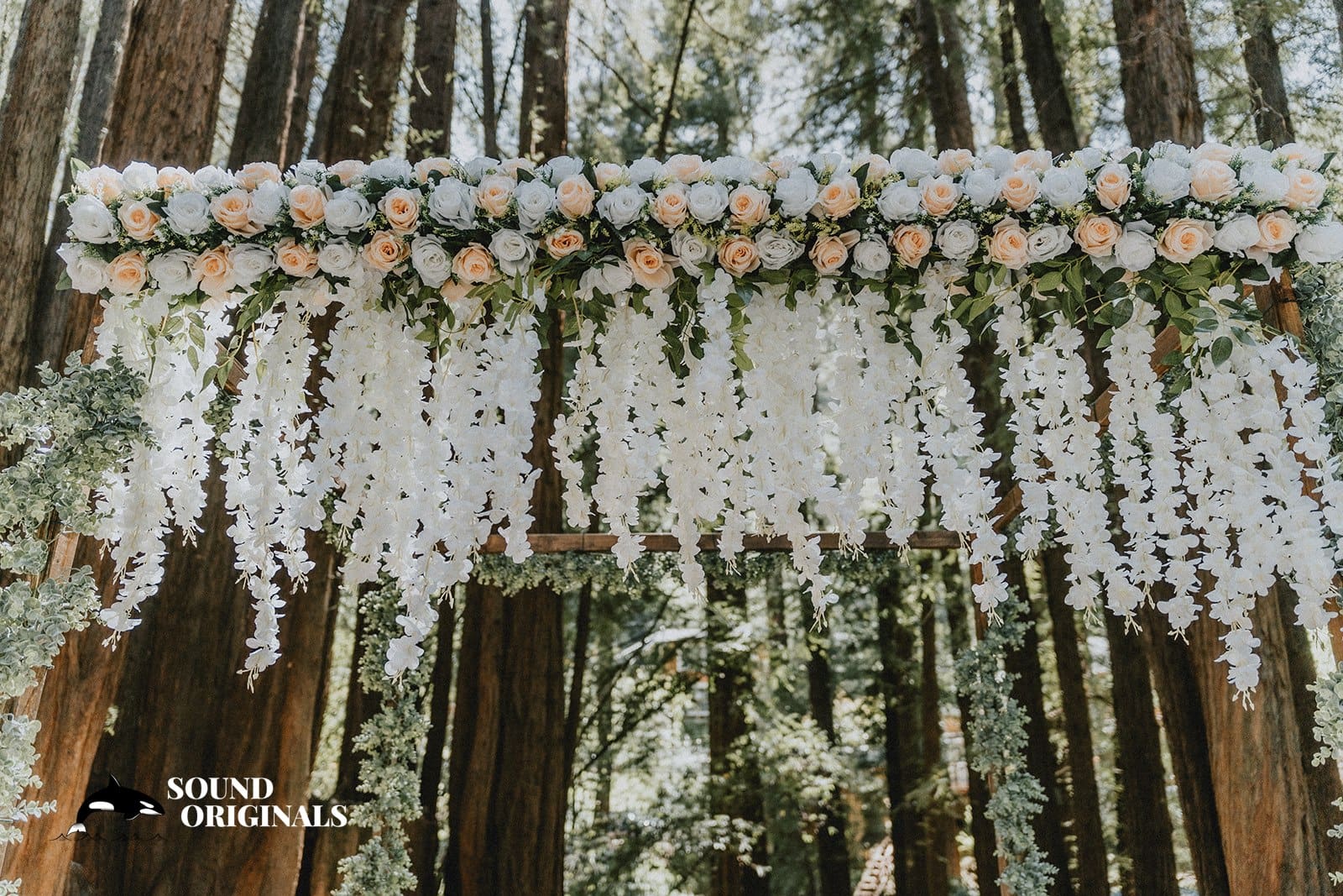 Deborah & Krishan -