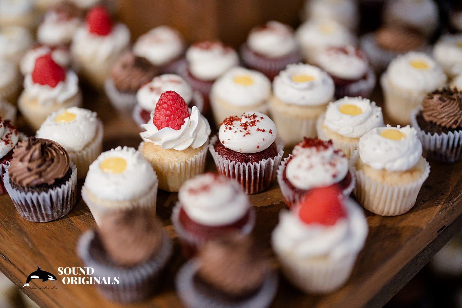 Julia & Dustin -