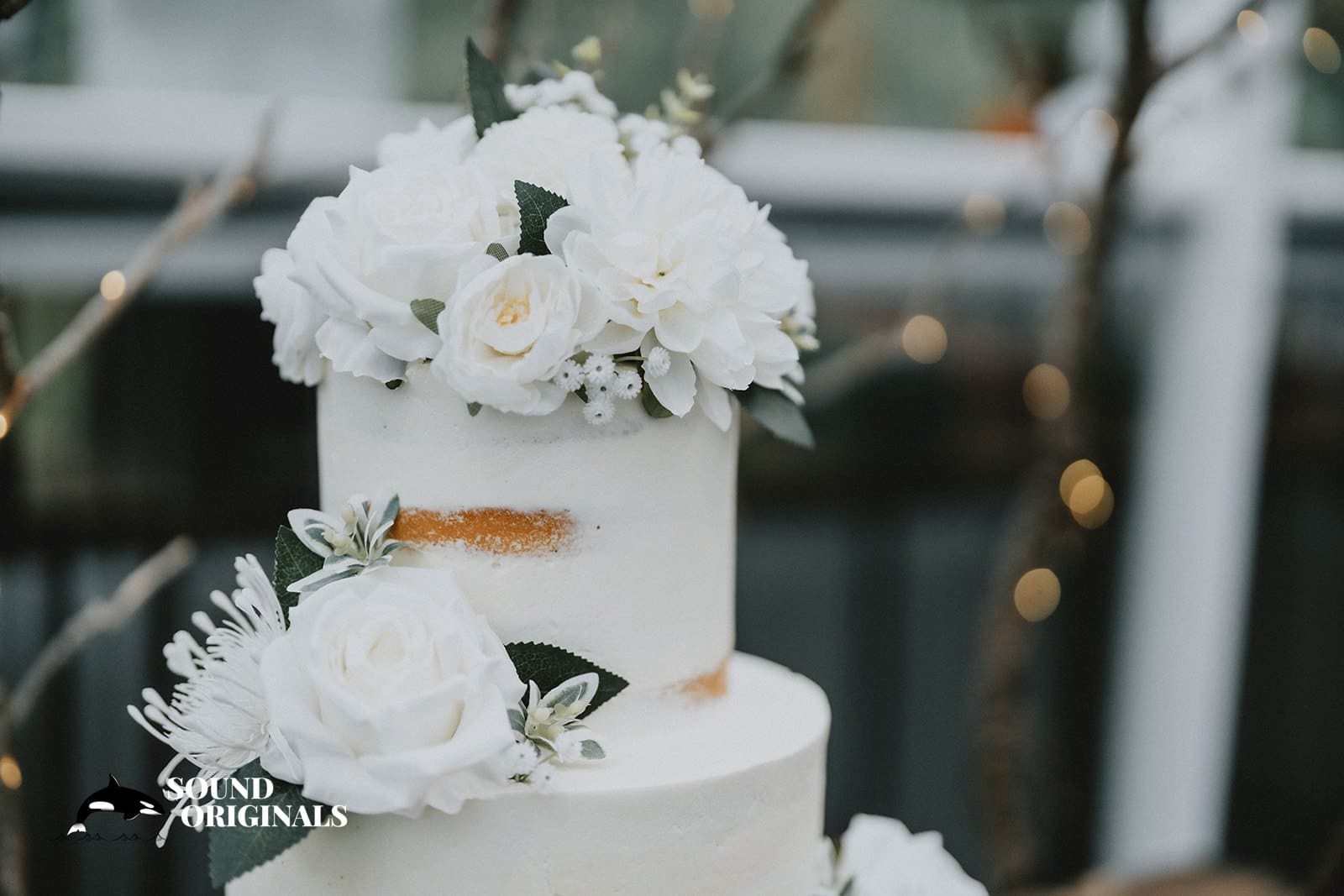 Brianna & Francis -
