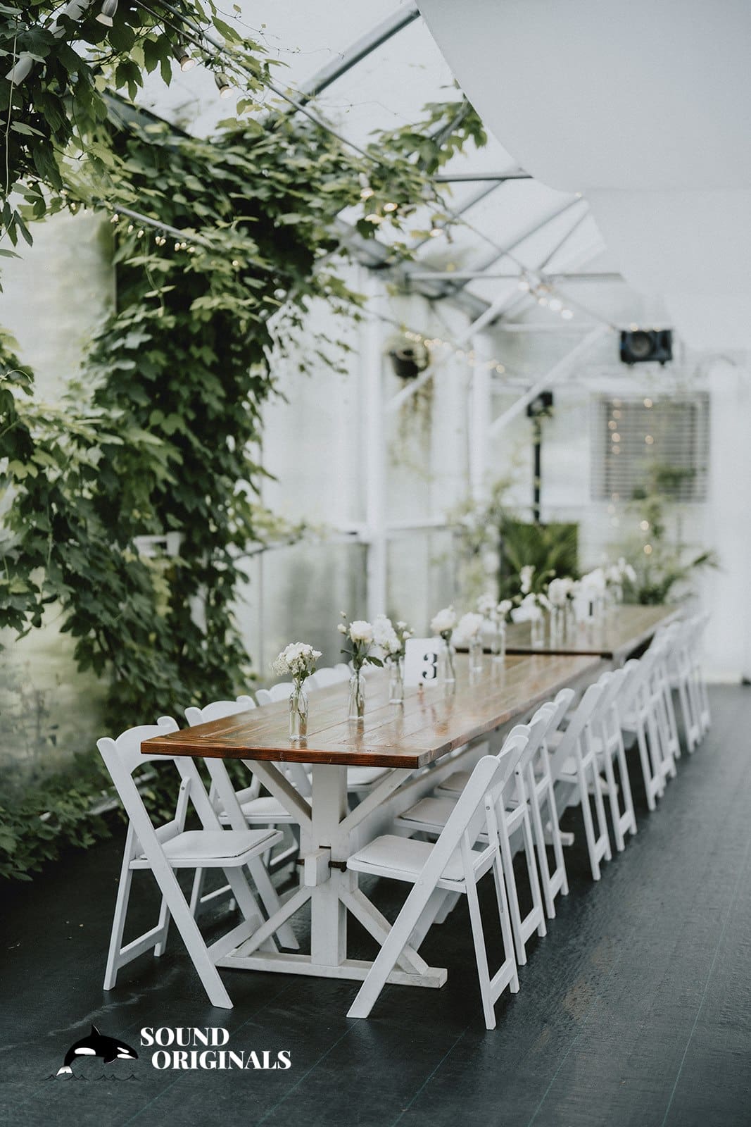 Brianna & Francis -