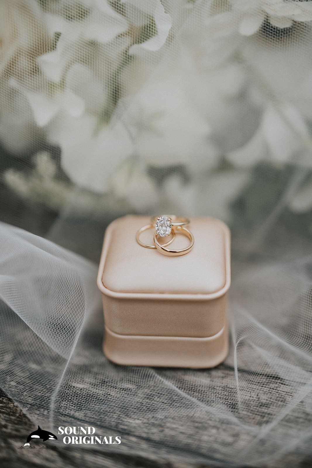 Brianna & Francis -