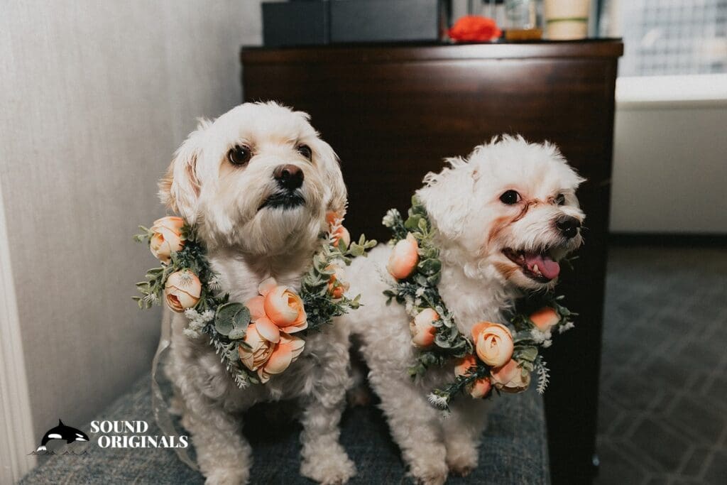 Robert + Michelle Fairmont Olympic Wedding // Robert + Michelle -