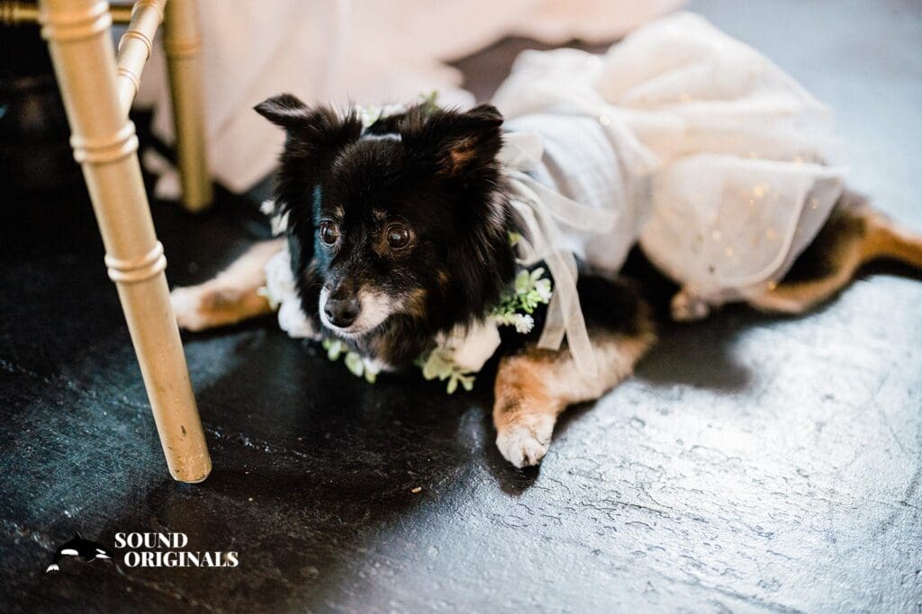 MV Skansonia Wedding // Veloria + Thomas -