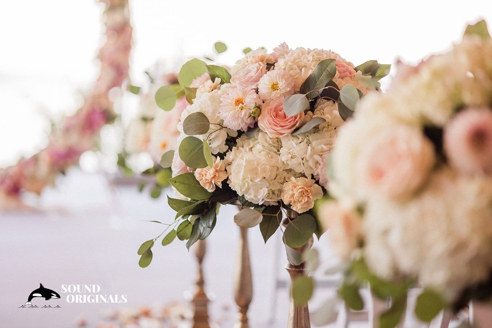 Selina & Chris -