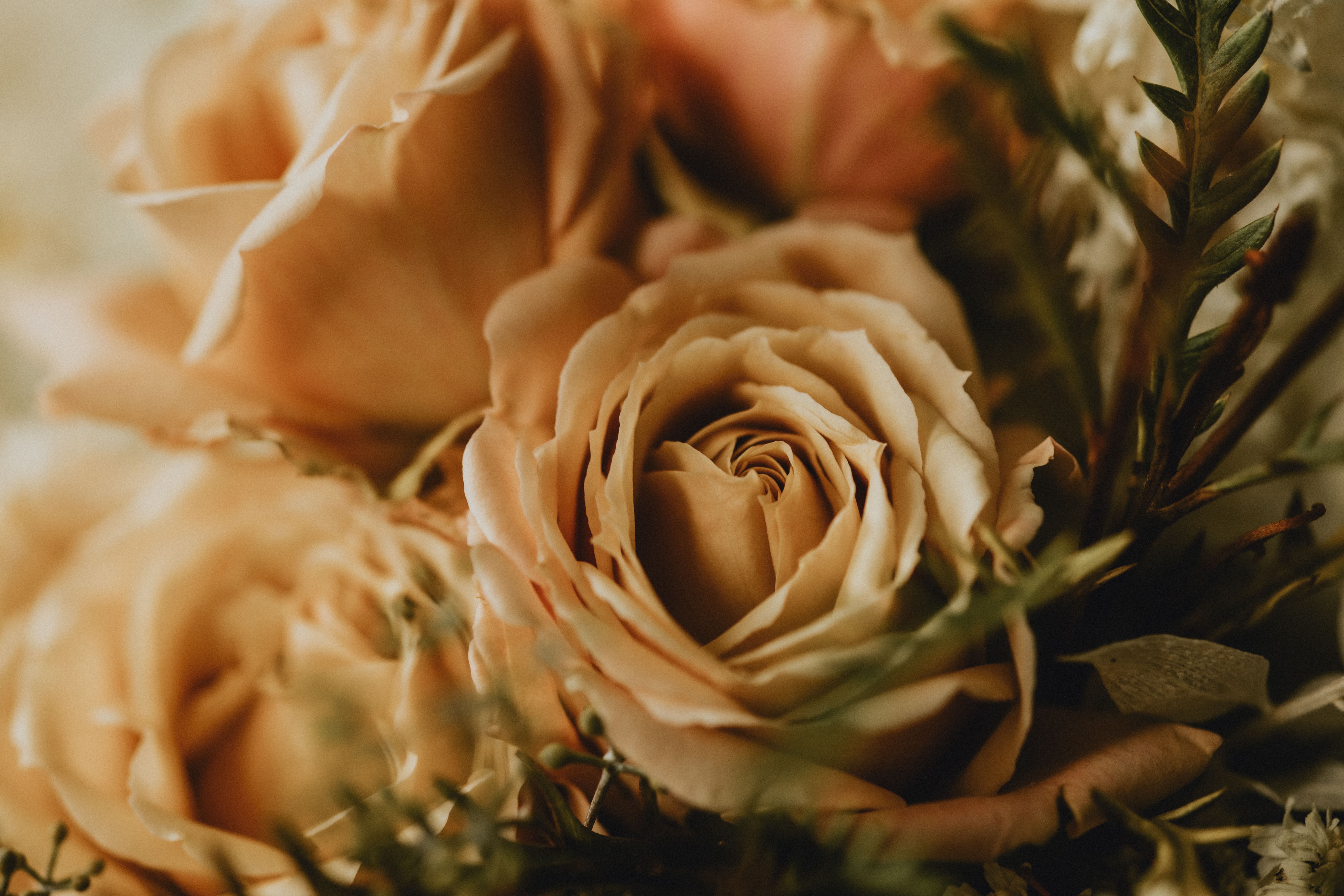 Michaela & Tane -