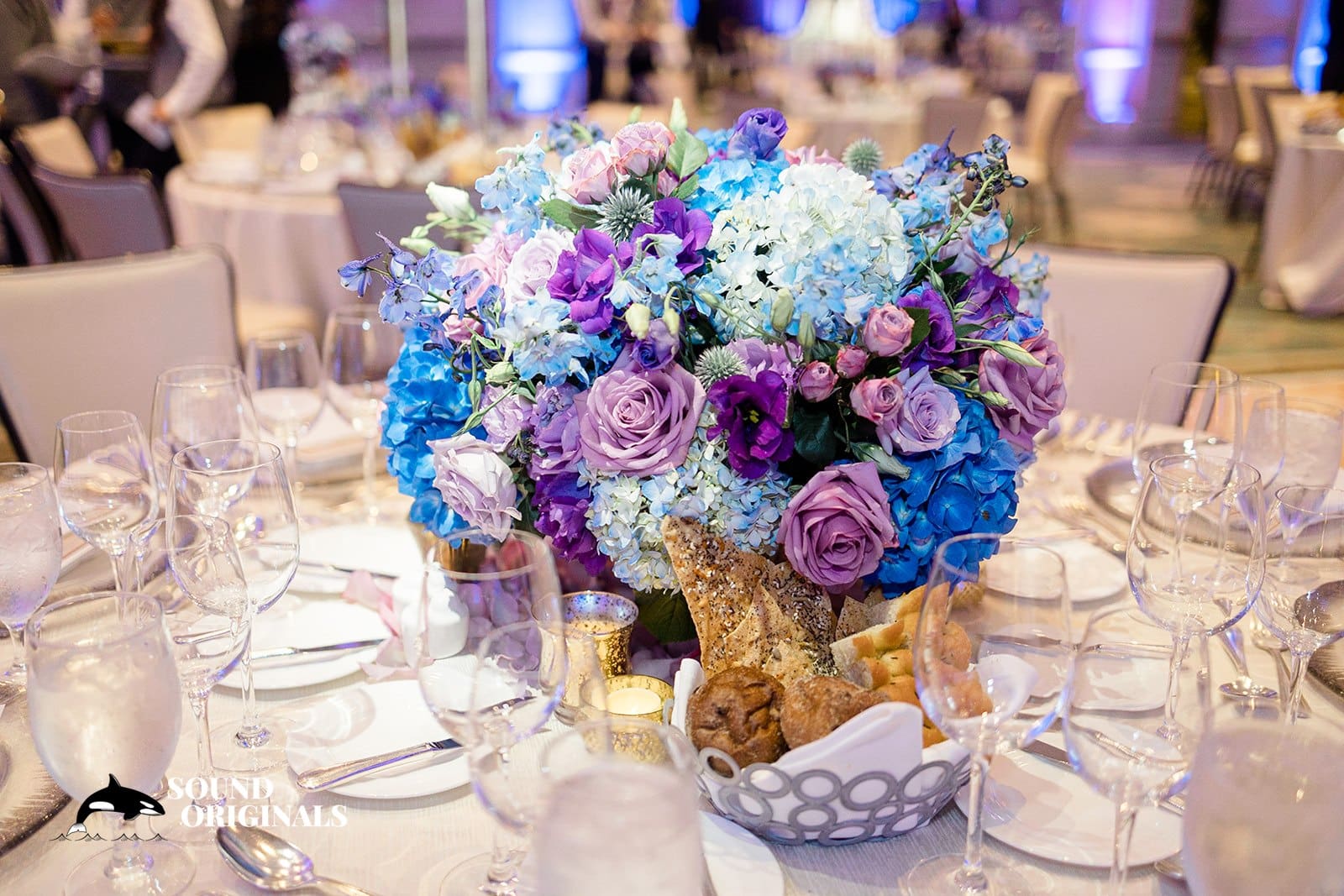 Daniela & Jose -