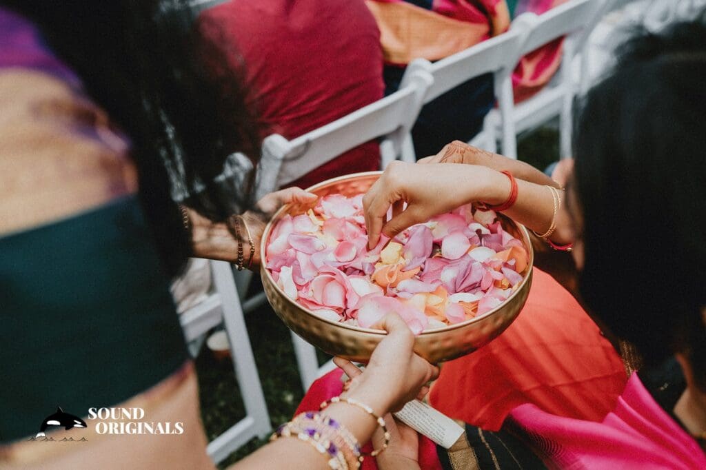 Catherine & Aadarsh -