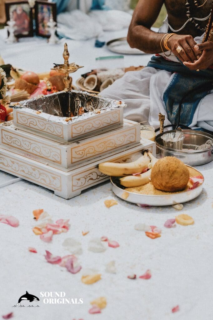 Catherine & Aadarsh -