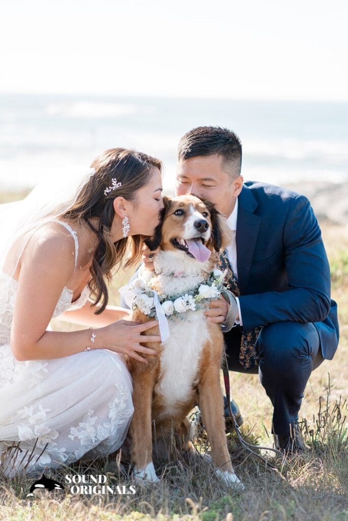 Bernardus Lodge and Spa Wedding // Sasha + William -