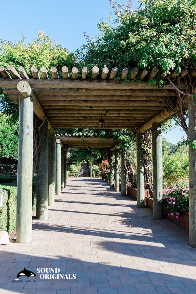 Sasha + William Bernardus Lodge and Spa Wedding // Sasha + William -