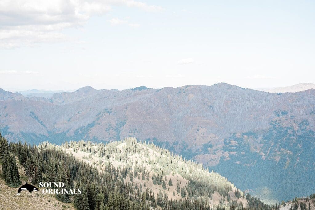 Carlyn + Derek Crystal Mountain Resort Wedding // Carlyn + Derek -