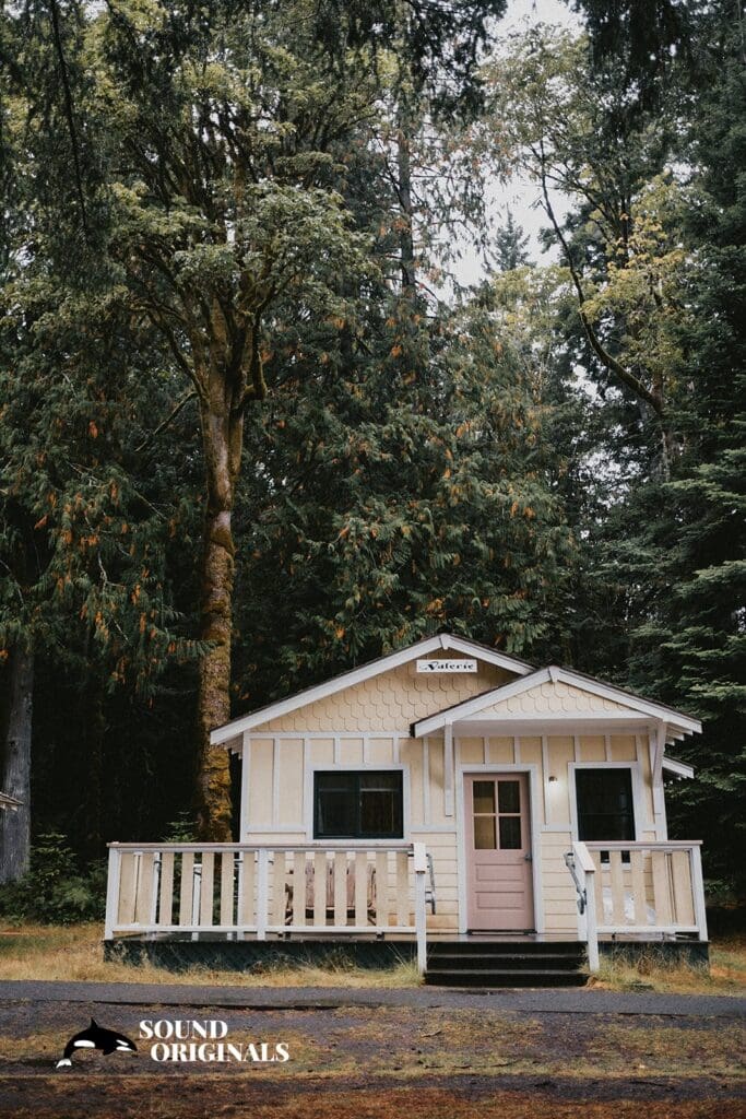 NatureBridge Wedding // Nicholas + Katherine -