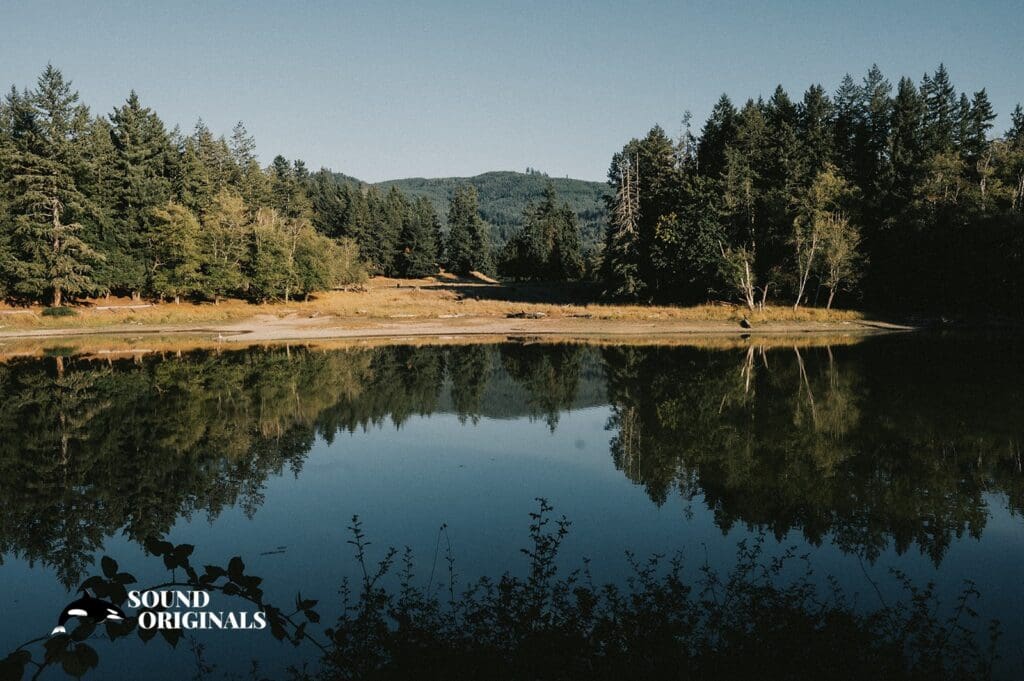 Northwest Trek Wedding // Amanda + Gavin -