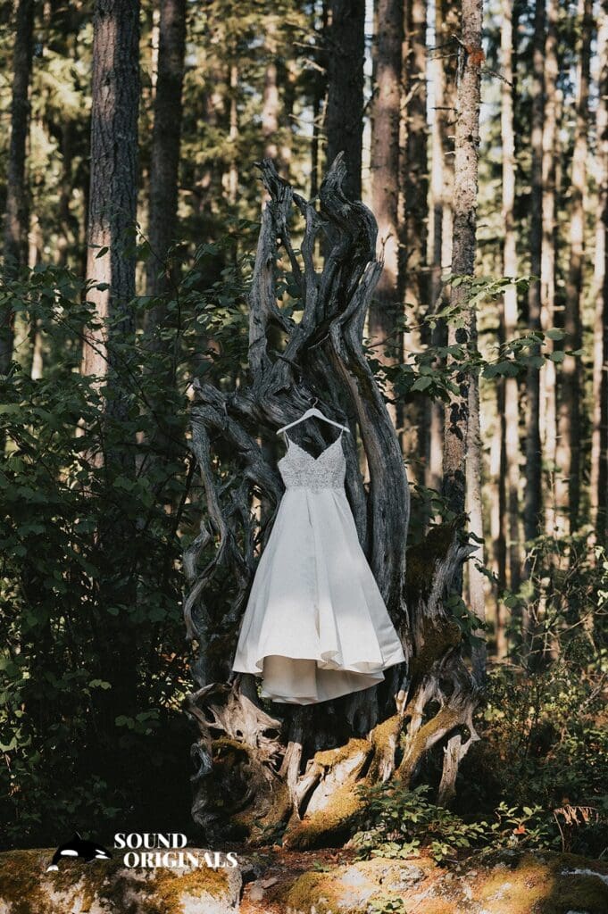 Northwest Trek Wedding // Amanda + Gavin -