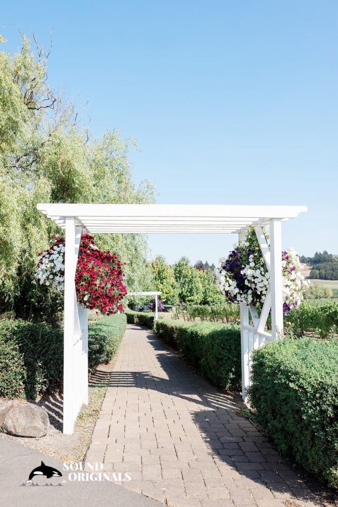 Zenith Vineyard Wedding // Patrick & Caitlin -