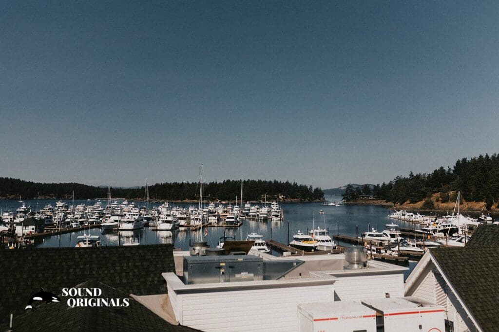 Roche Harbor Resort Wedding // Marisa + Babak -