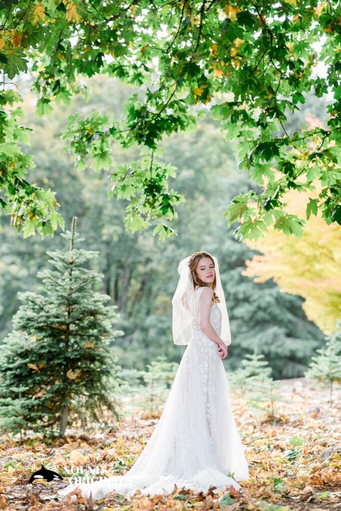 Trinity Tree Farm Wedding // Jeremy & Viveka -