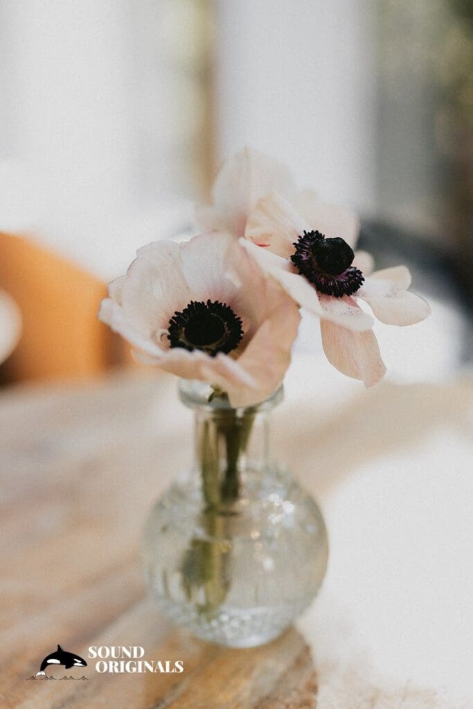 Carissa + Nathan Private Home Wedding // Carissa + Nathan -