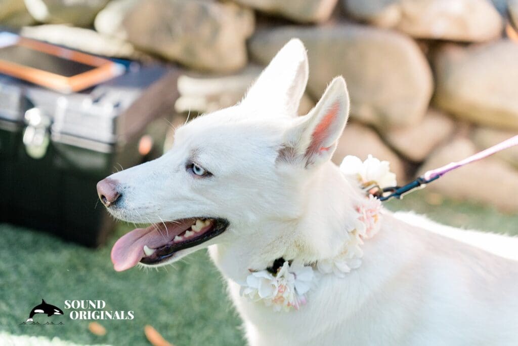 Saratoga Springs Wedding // Trisha + Joseph -