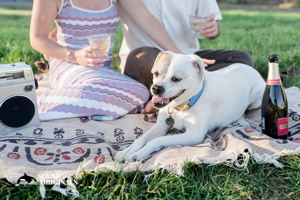 Crissy Field Engagement // Colleen + Michael -